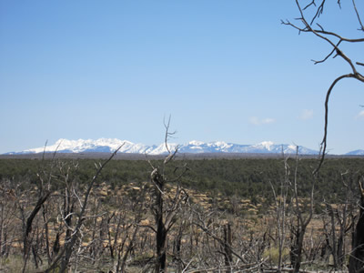 snow mountains